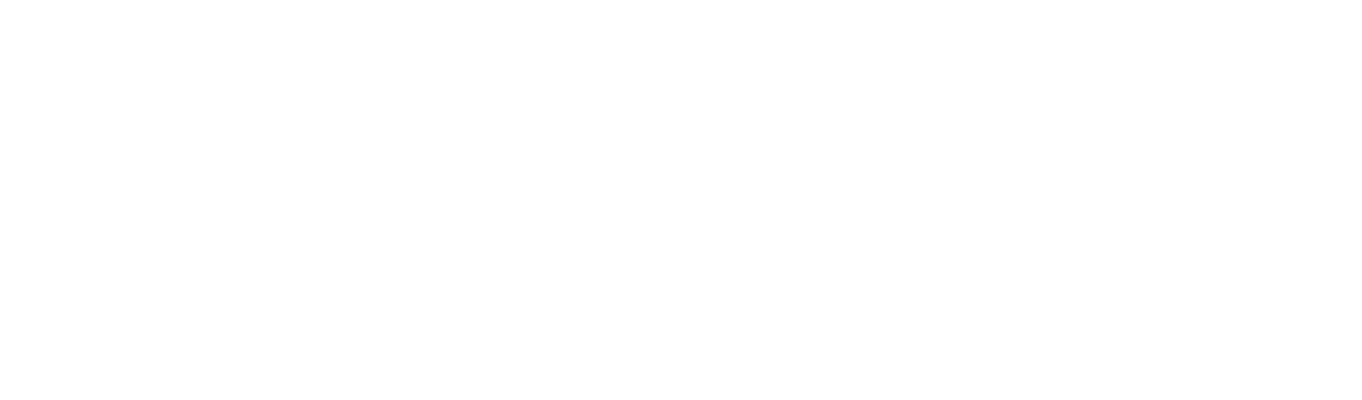 POLIMI